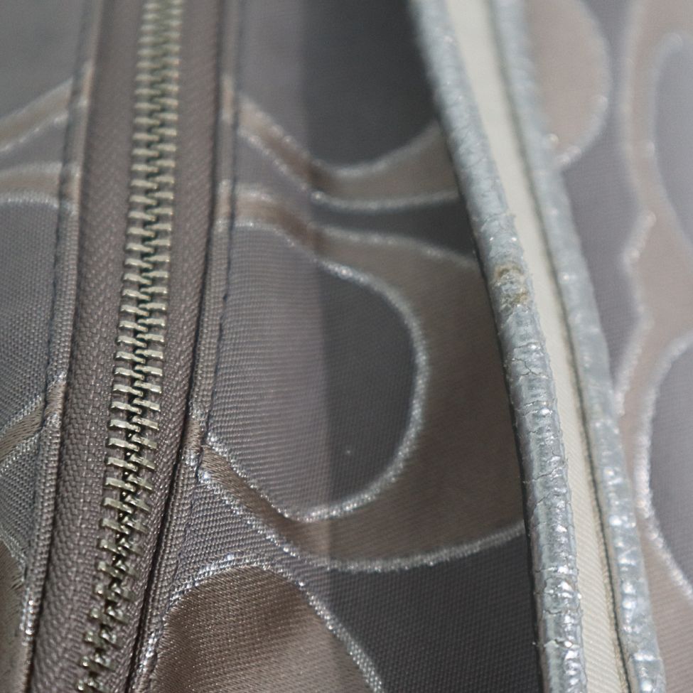 Coach Poppy Metallic Signature Hippie